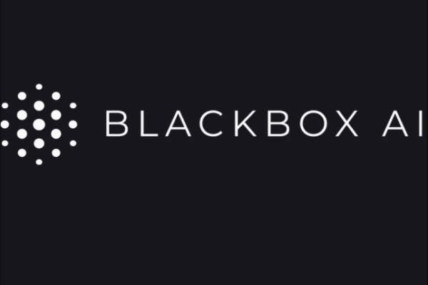 Blackbox AI