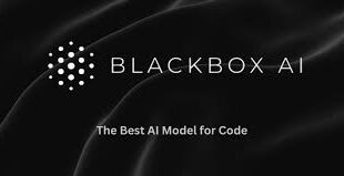 Blackbox AI